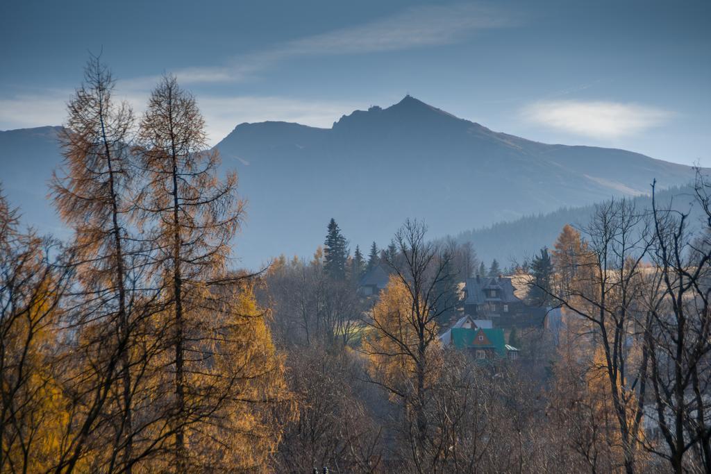 Willa Gardenia Zakopane Oda fotoğraf